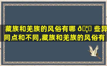 藏族和羌族的风俗有哪 🦍 些异同点和不同,藏族和羌族的风俗有哪些异同点和不同之处